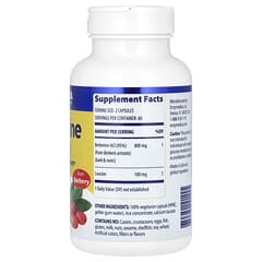 Enzymedica, Berberine, 800 mg, 120 Capsules (400 mg per Capsule) - Image 2